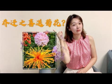 菊花風水|【菊花風水】菊花風水招財又庇佑家人健康，不容錯過的擺放秘訣！